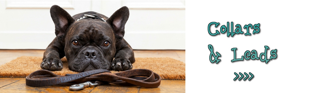 KNOX Dogwear - Luxury Apparel & Accessories for Fashionable Pups – KNOX  DOGWEAR
